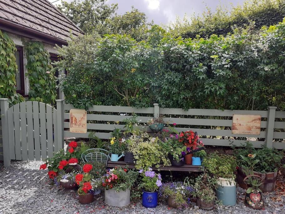 Oakey Orchard - Cosy Apartment In Tamar Valley, Cornwall Saint Dominick Екстер'єр фото